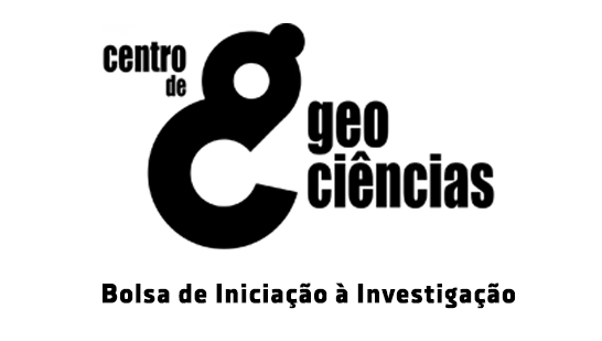 Bolsa 2025